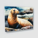 Sea Lion Cute Sea Shore 2