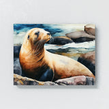 Sea Lion Cute Sea Shore 2