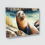 Sea Lion Cute Sea Shore 3