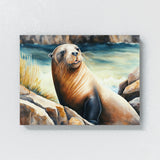 Sea Lion Cute Sea Shore 3