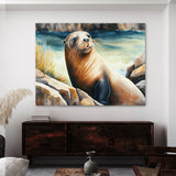 Sea Lion Cute Sea Shore 3