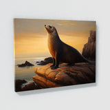 Sea Lion Sea Sunset Ocean 7