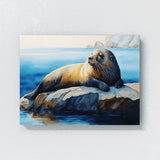 Seal Bright Lounging Ocean Sky 21