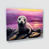 Seal Pup Sunset Sky 22