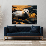 Seal Rocky Shore 9