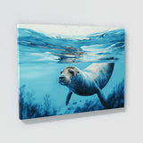 Seal Swimming Turquoise Ocean 26