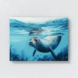 Seal Swimming Turquoise Ocean 26