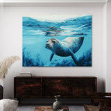 Seal Swimming Turquoise Ocean 26