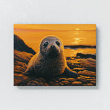 Seal Vibrant Pup Sunset Scene 28