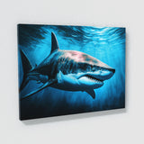 Shark Great White Ocean 39