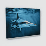 Shark Hammerhead Ocean 44