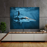 Shark Hammerhead Ocean 44