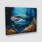 Shark Ocean Reef 38