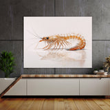 Shrimp White Background 9