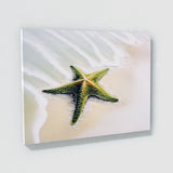 Starfish Bright Green Beach 29