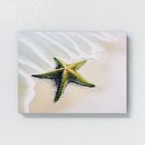 Starfish Bright Green Beach 29