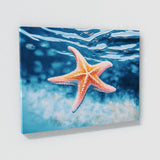 Starfish Bright Ocean 12