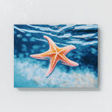 Starfish Bright Ocean 12