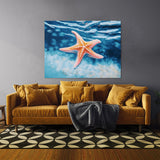 Starfish Bright Ocean 12