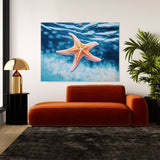 Starfish Bright Ocean 12