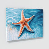 Starfish Bright Ocean 13