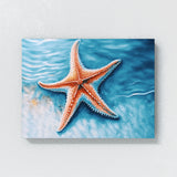 Starfish Bright Ocean 13