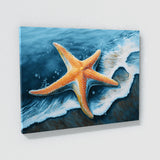 Starfish Bright Ocean Scene 9