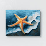 Starfish Bright Ocean Scene 9