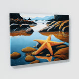 Starfish Realistic Ocean 14