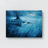 Swordfish Realistic Ocean 21