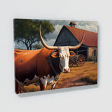 Texas Longhorn Texas 14