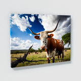 Texas Longhorn Texas 17