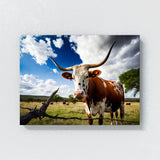 Texas Longhorn Texas 17