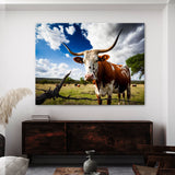 Texas Longhorn Texas 17