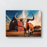 Texas Longhorn Texas 30