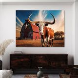 Texas Longhorn Texas 30