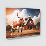 Texas Longhorn Texas 31