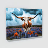 Texas Longhorn Texas 32