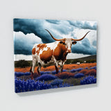 Texas Longhorn Texas 37