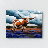 Texas Longhorn Texas 37