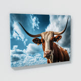 Texas Longhorn Texas 5