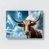 Texas Longhorn Texas 5