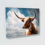 Texas Longhorn Texas 7