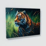 Tiger Vibrant In Meadow 14