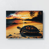 Turtle Atmospheric Sunset 1