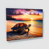 Turtle Atmospheric Sunset 8