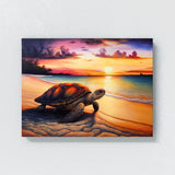 Turtle Atmospheric Sunset 8