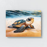 Turtle Cute Baby 59