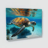 Turtle Realistic Sea 7