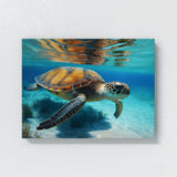 Turtle Realistic Sea 7